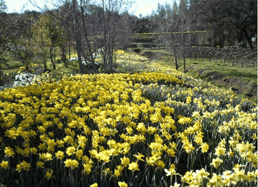 Lent 2014: Day Four, Psalm 107:9