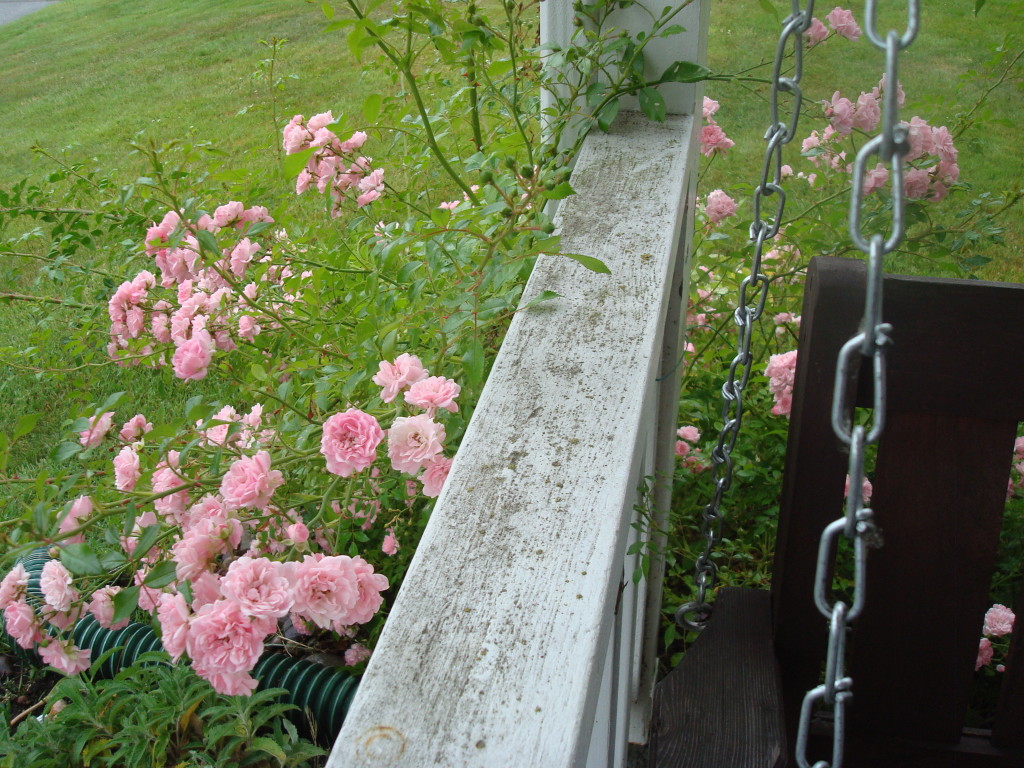 DSC05101