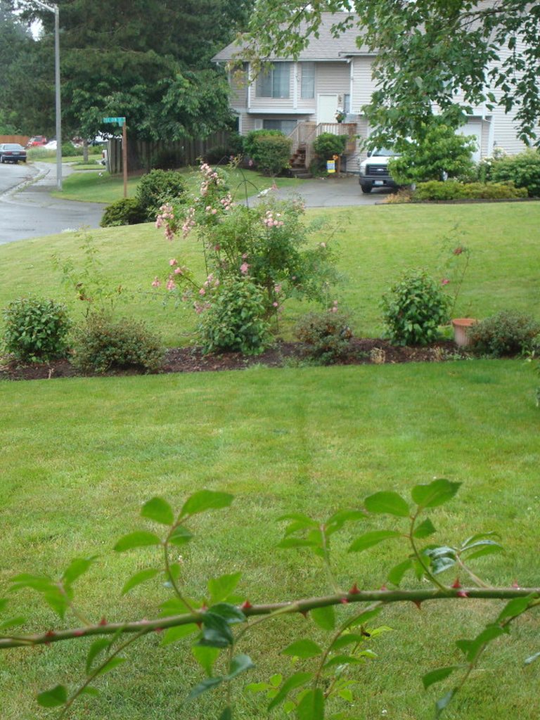 DSC05103